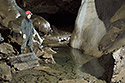 In the "Roztoka" dome - main link