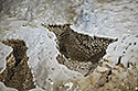 Dry pools - main link