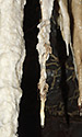Strange dripstone - main link