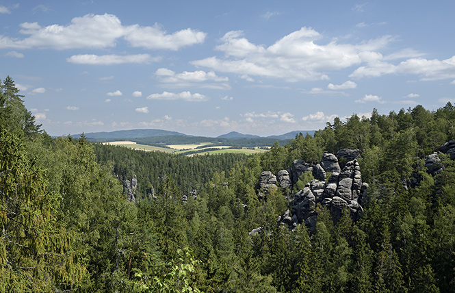 View to north-east - smaller format