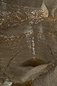 Pocket - main link