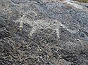 Goat - main link