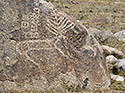Deer? - main link