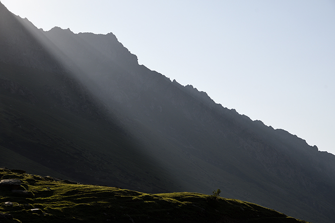 Evening light - smaller format