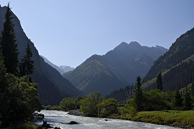 Karakolsk dol - men formt