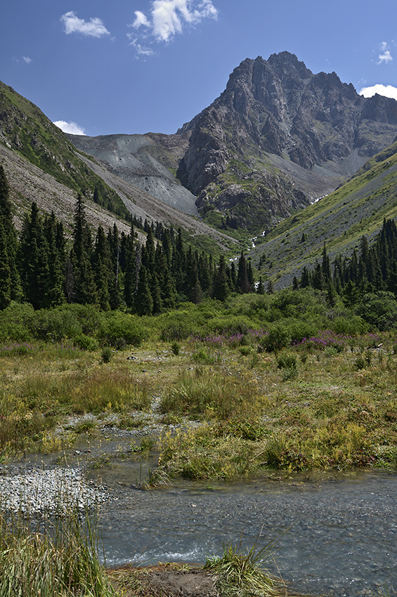 In moutains - larger format