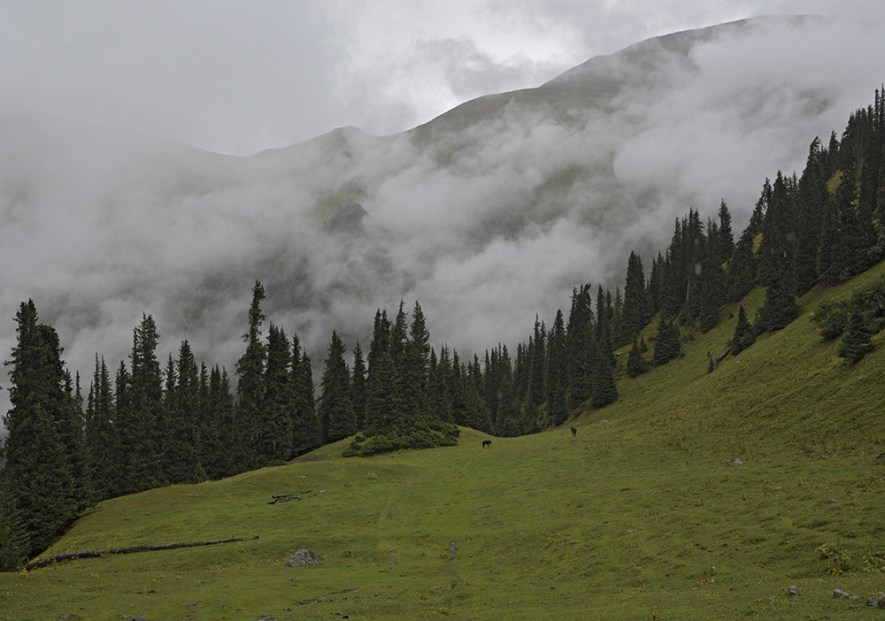 In clouds - larger format