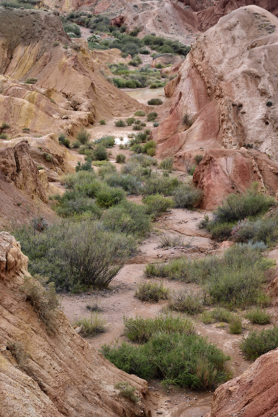 In canyons - larger format