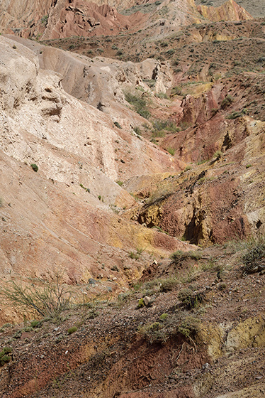 In canyons - smaller format