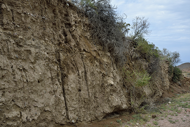 In canyons - smaller format