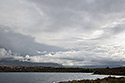 Evening light - main link