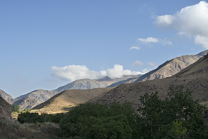 On red mountains - smaller format