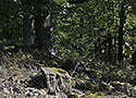 Na Kuchyce - hlavn odkaz