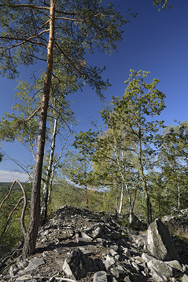 At the quarry - smaller format