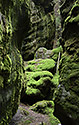 On "Hejda" - main link