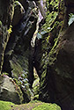 On "Hejda" - main link