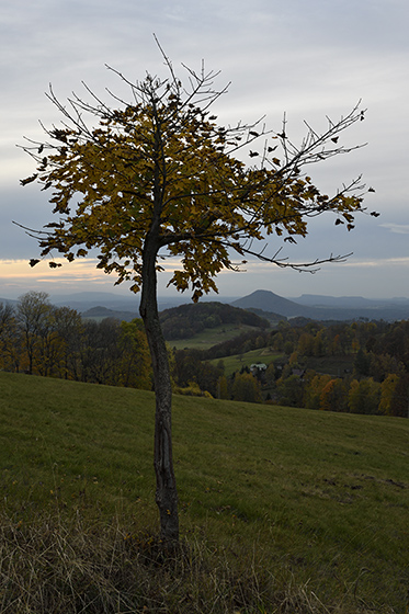 Evening at "Golden Hill" - smaller format