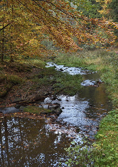 Studen potok - men formt