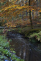 "Chibsk Kamenice" - main link