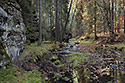"Chibsk Kamenice" - main link