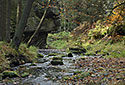 "Chibsk Kamenice" - main link