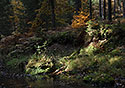 "Chibsk Kamenice" - main link