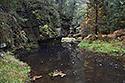 "Chibsk Kamenice" - main link