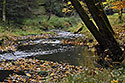 "Chibsk Kamenice" - main link