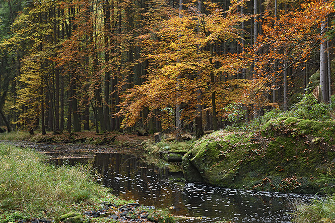"Chibsk Kamenice" - smaller format