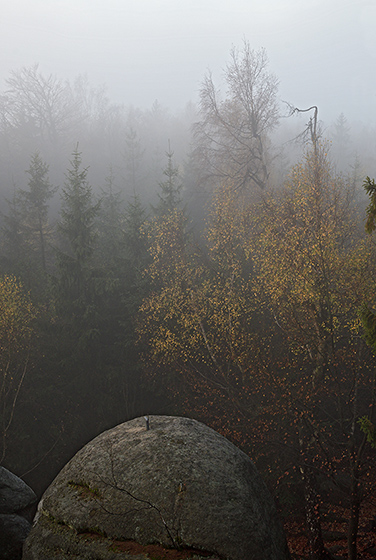 Foggy - smaller format