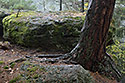 Over the "Vojtsk dl" - main link