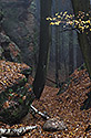 Over the "Vojtsk dl" - main link