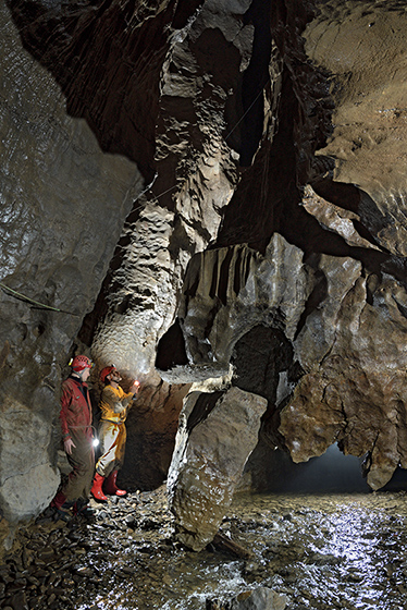 In the Grunting Abyss - smaller format