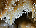 Helictites - main link