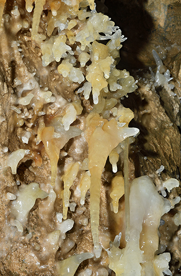 Helictites - smaller format