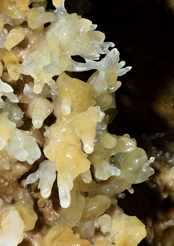 Helictites - larger format