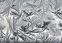 Flowers - main link