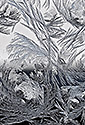 Flowers - main link