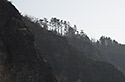 Shades - main link