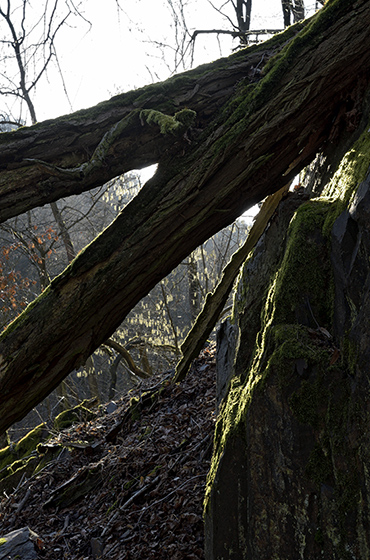 In precipices - smaller format