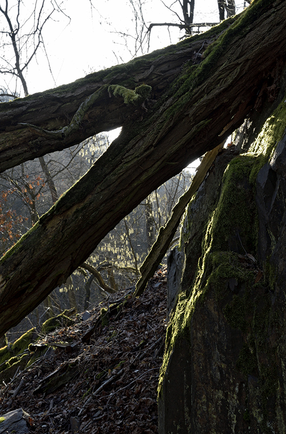 In precipices - larger format