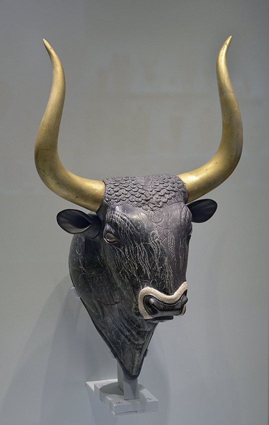 Hlava býka - větší formát