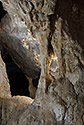 In the cave - main link