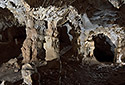 Columns - main link