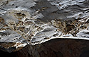 On the ceiling - main link