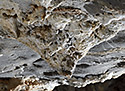 On the ceiling - main link