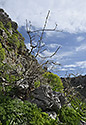 In the gorge - main link