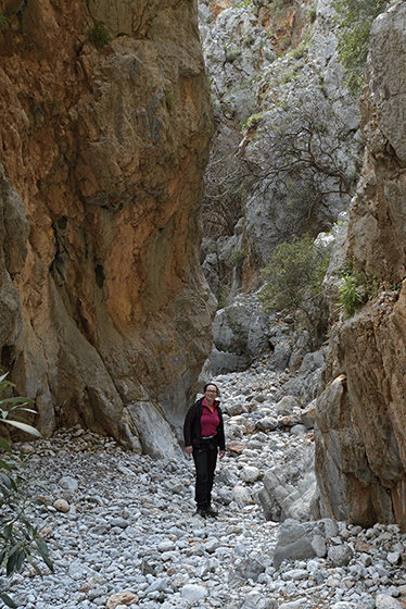 In the gorge - smaller format