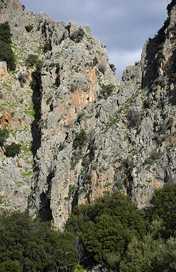 Under the gorge - smaller format