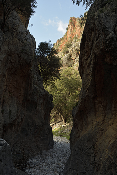 In the gorge - smaller format